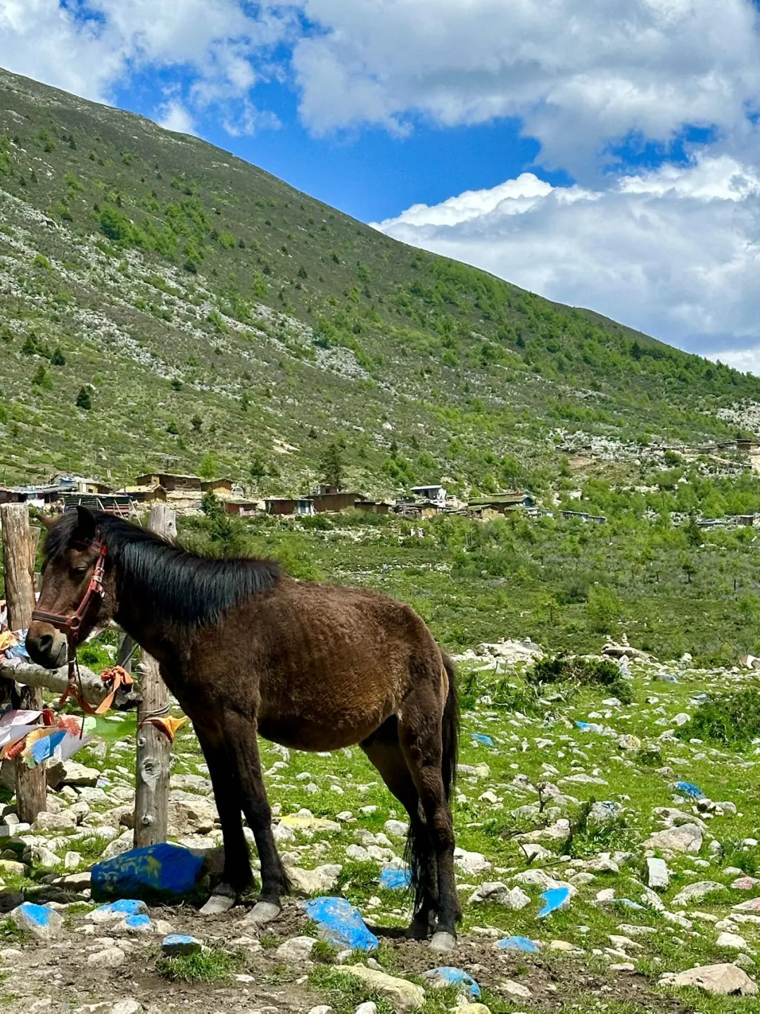 📍去川西真的要进行一次大采购。。。