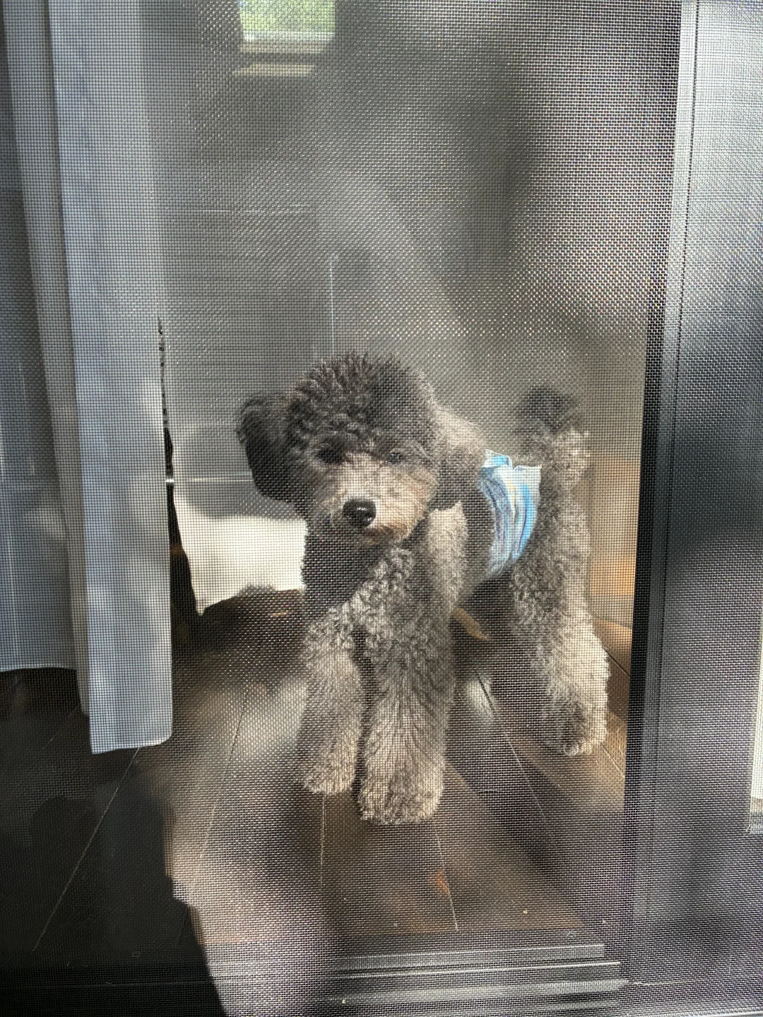 东京周边｜小众景点 那须 两天一夜