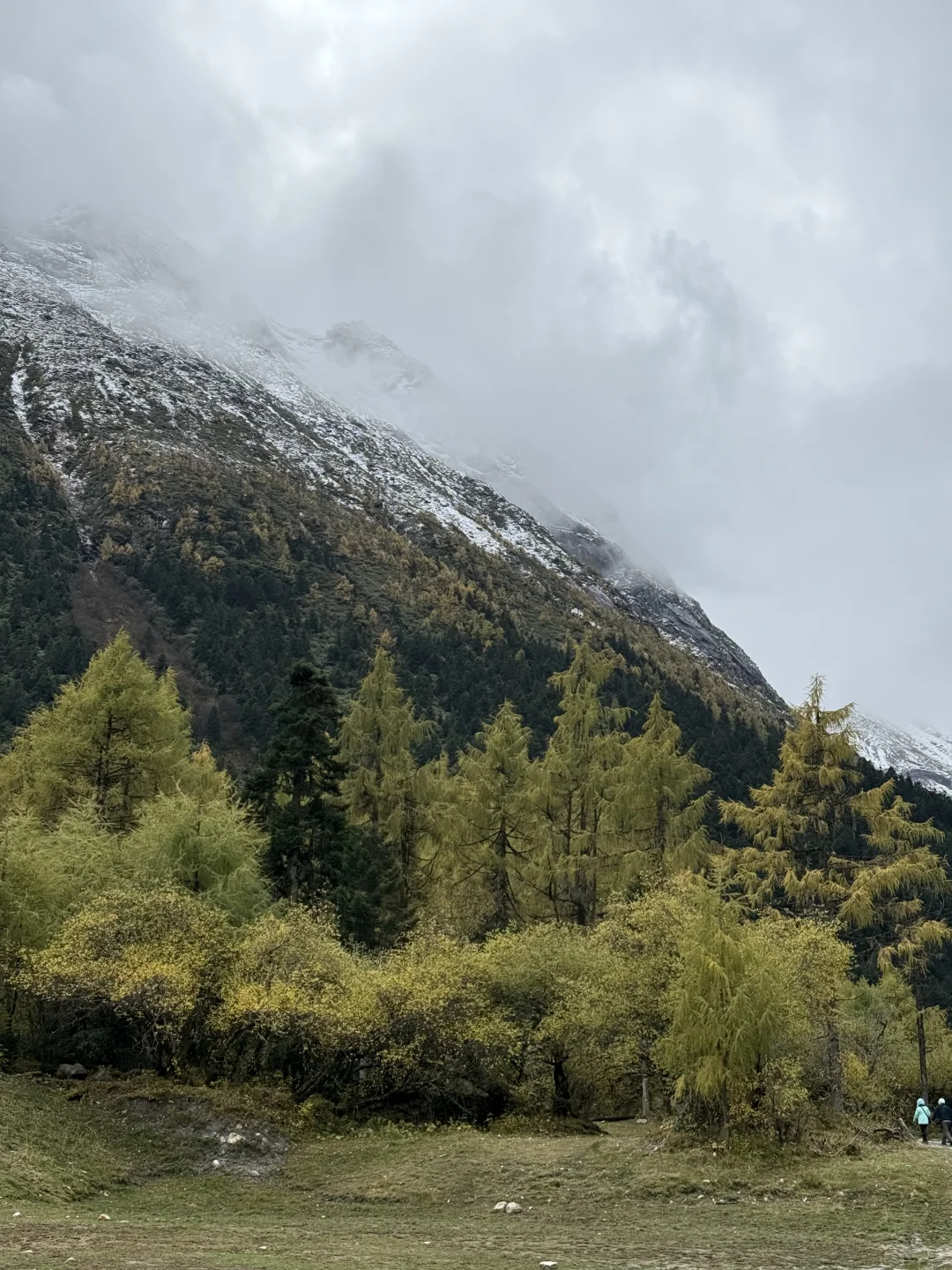 成都-毕棚沟-理小路2.5 日保姆级旅游攻略
