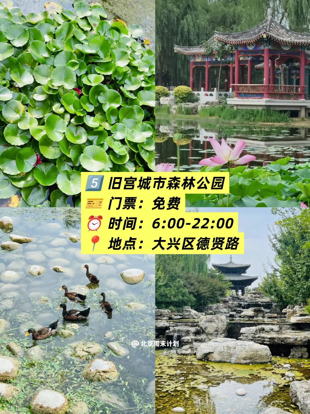 北京📍6个免费玩水公园｜北京周末去哪