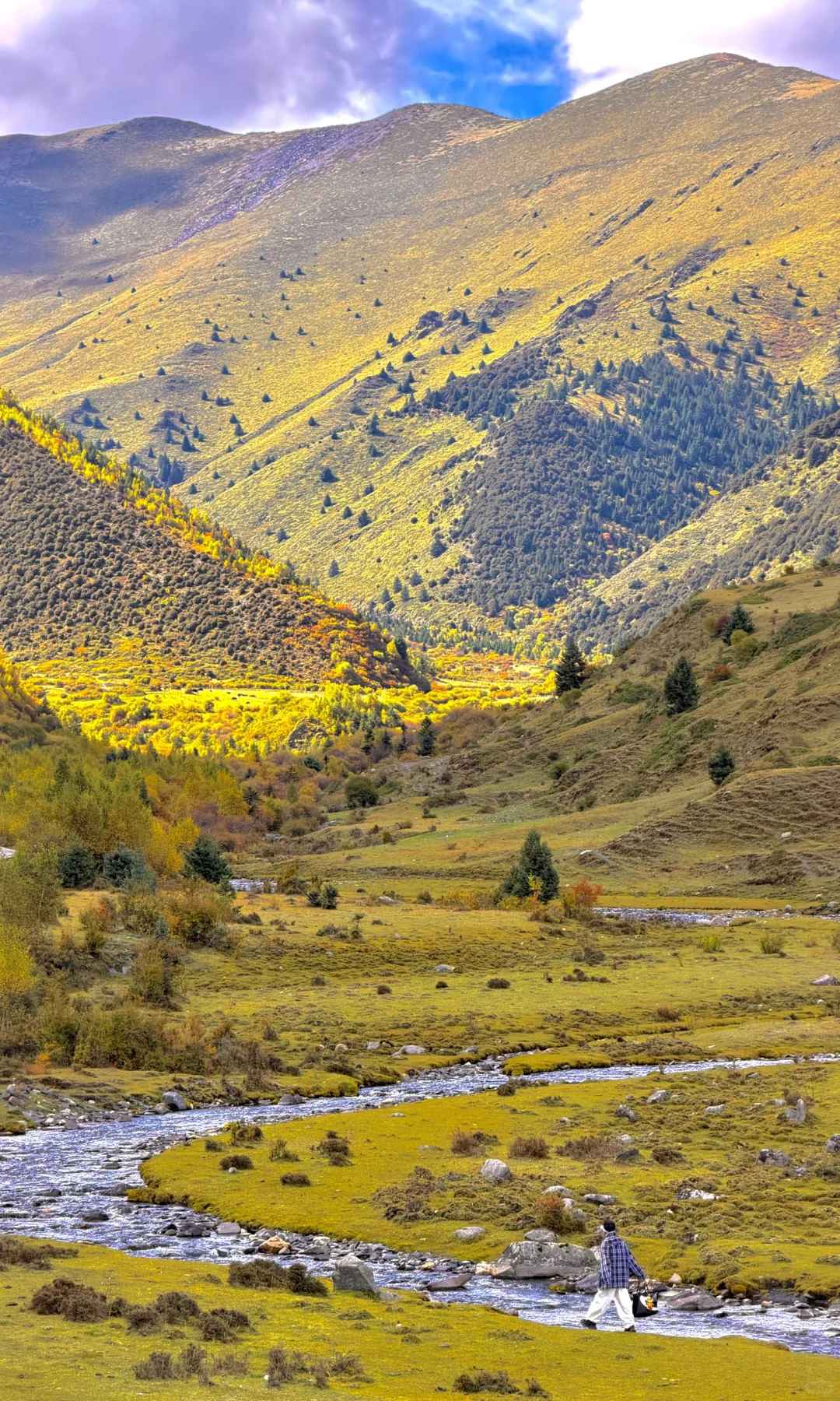 秋天川西第一天就这么美……后面该怎么办啊😭