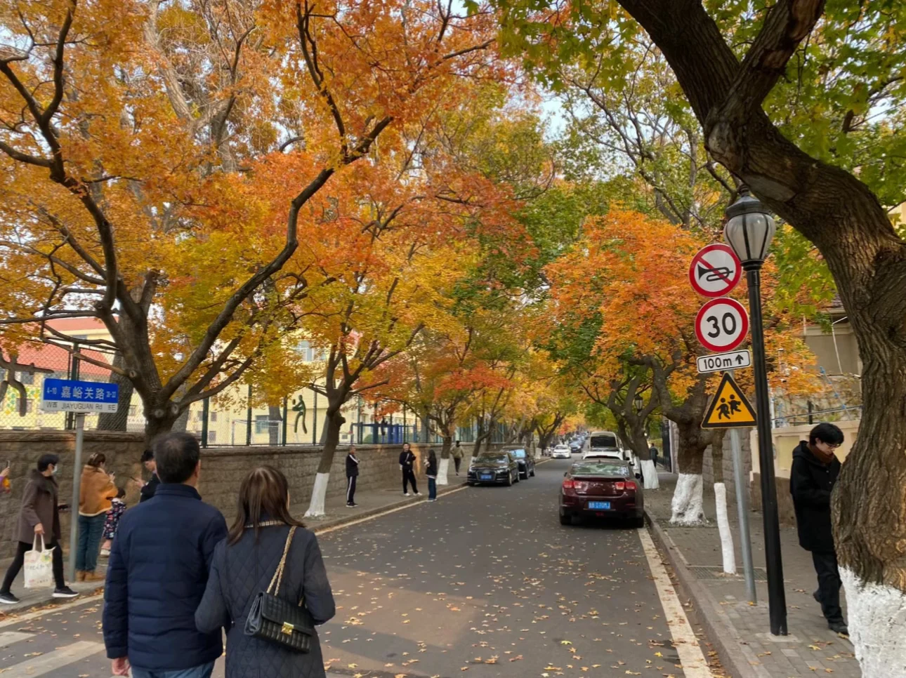 秋天将至🍁青岛即将变成这样……