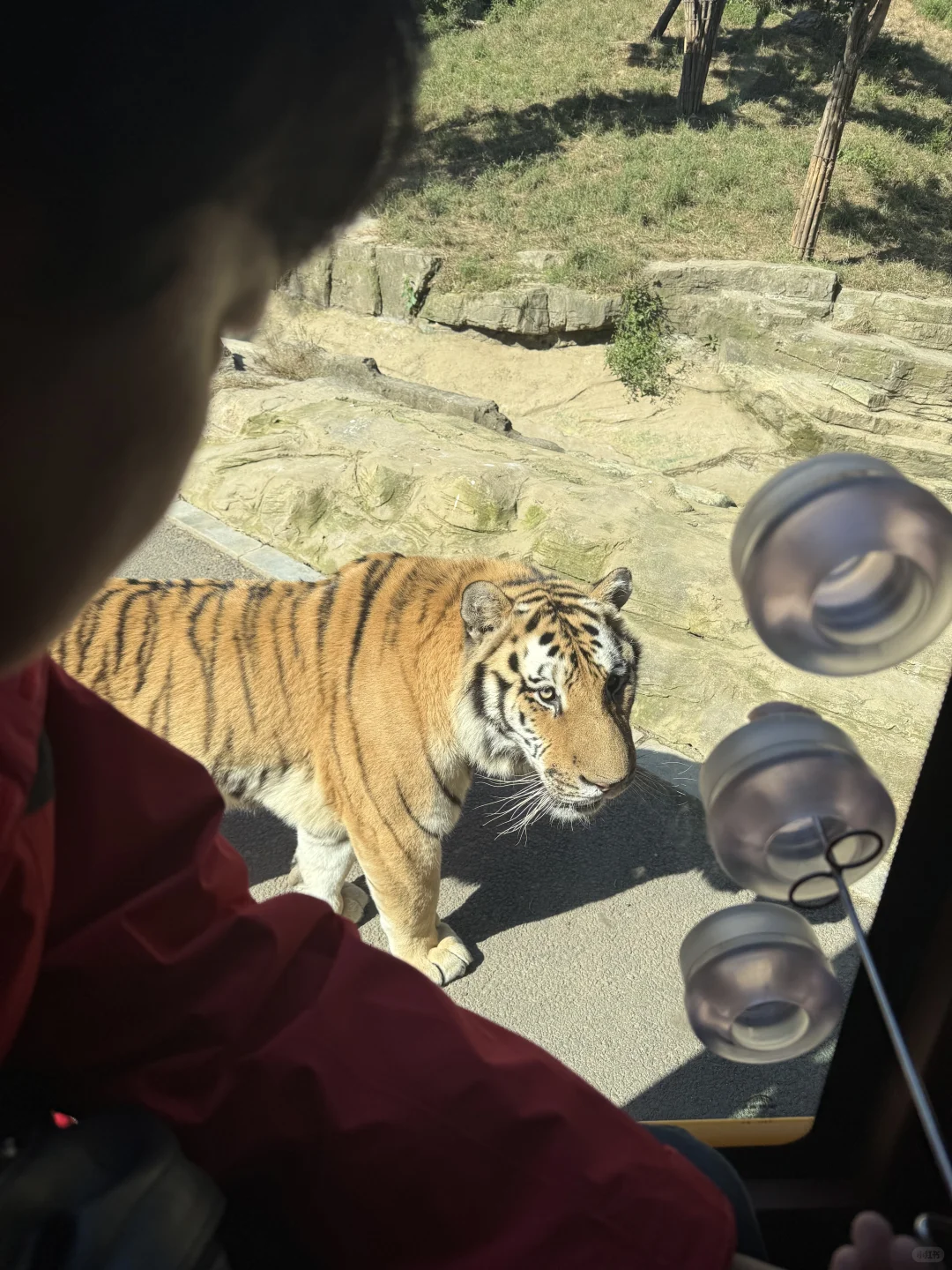 周末特种兵之大连