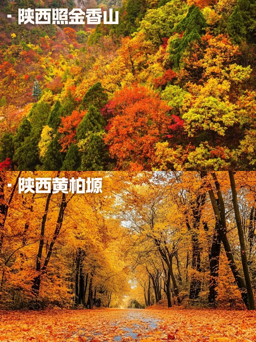 10月国内错峰赏秋😻十大红叶秘境任你选