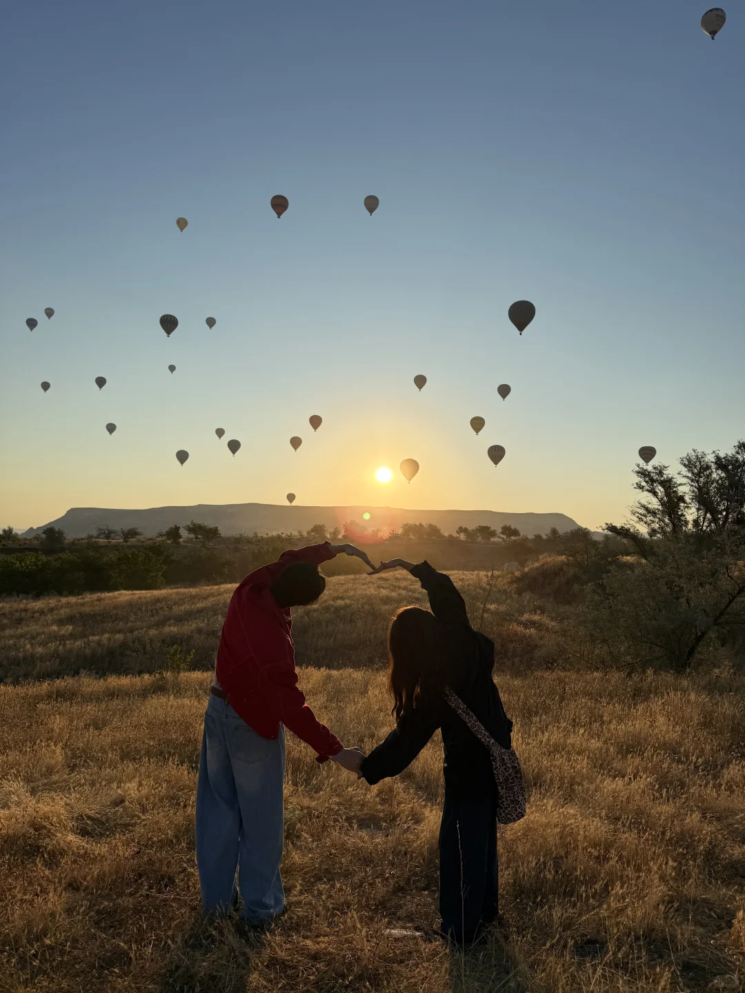 一些撒在土耳其的狗粮🐶