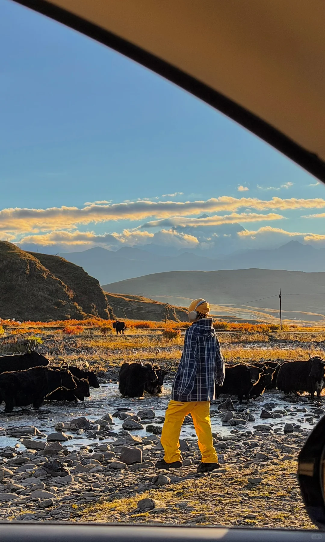 秋天川西第一天就这么美……后面该怎么办啊😭