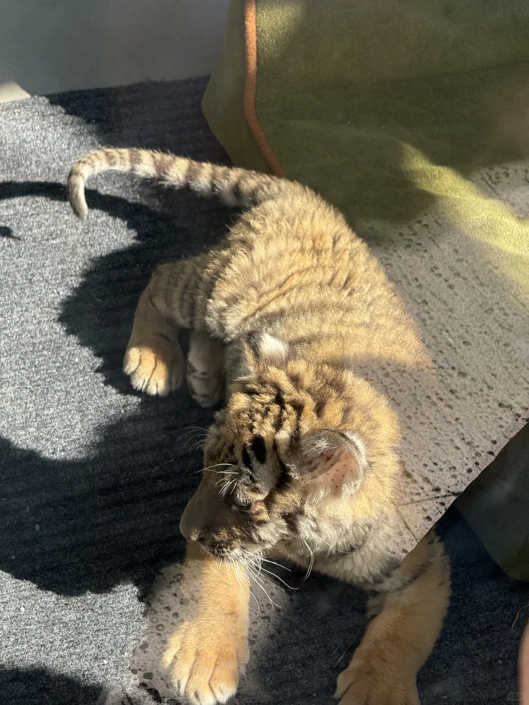 周末特种兵之大连