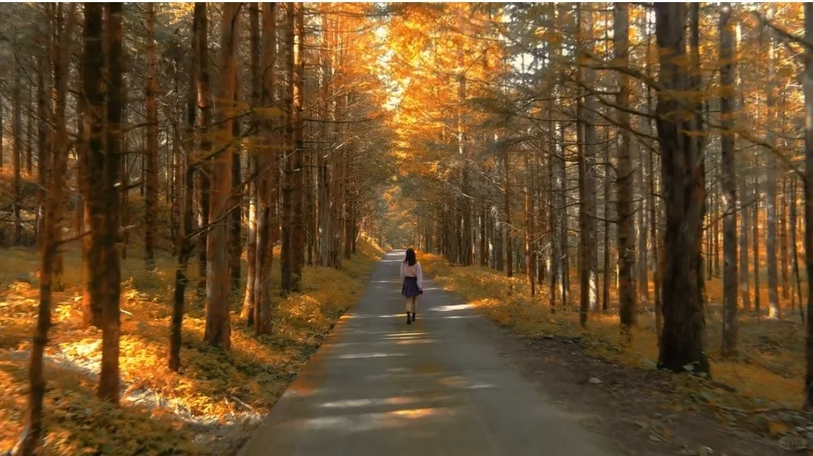 2025神农架赏秋最佳时间