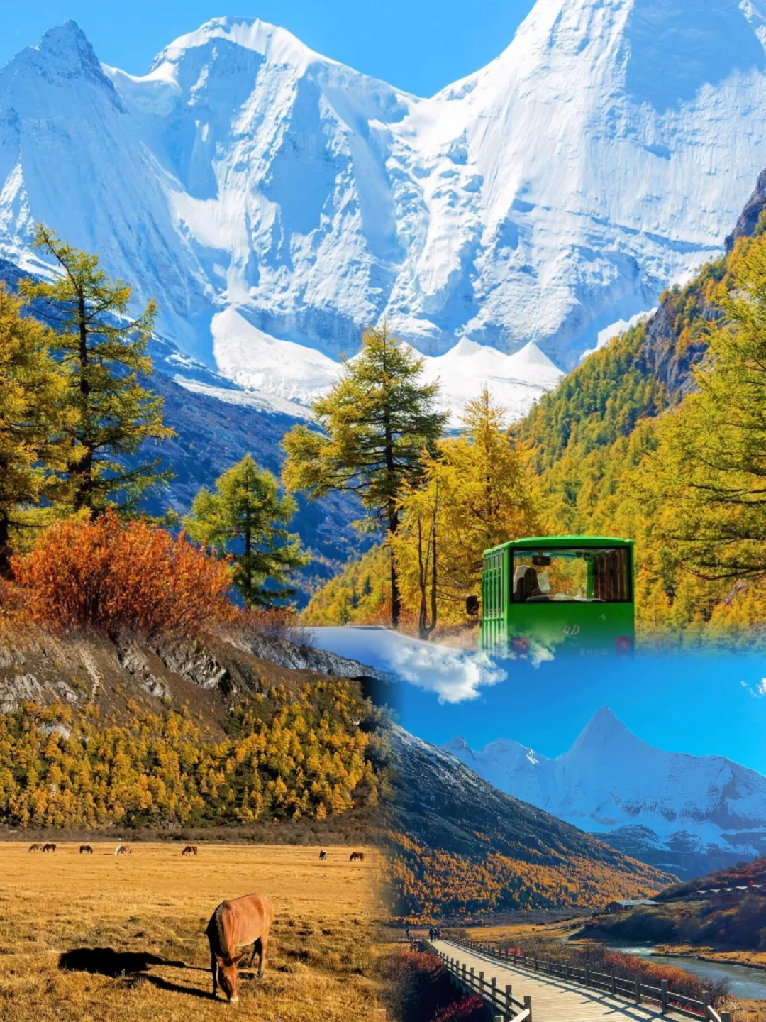 稻城亚丁｜5天4晚玩转“地球最后净土”