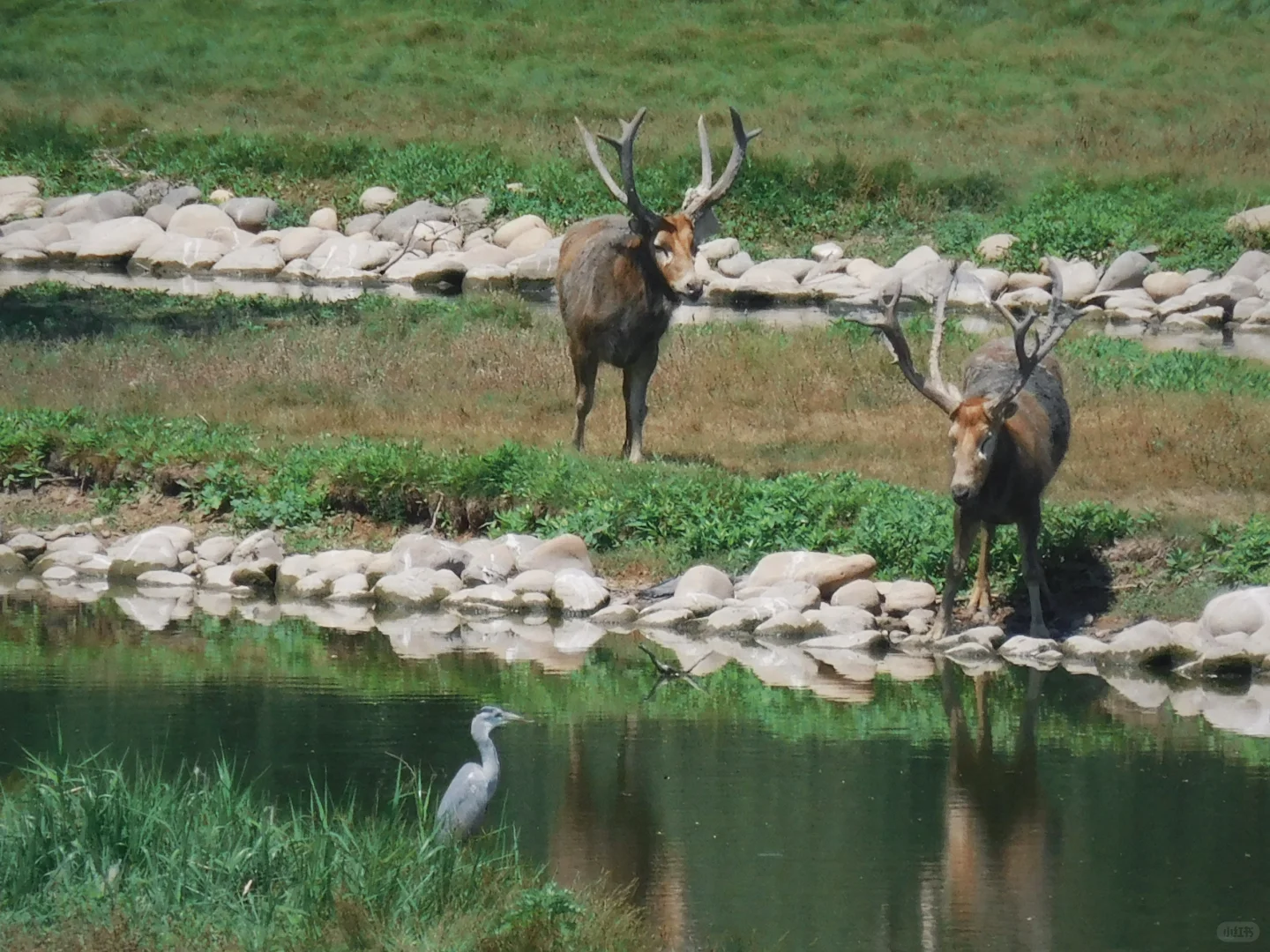 北京，我最推荐的三个公园！
