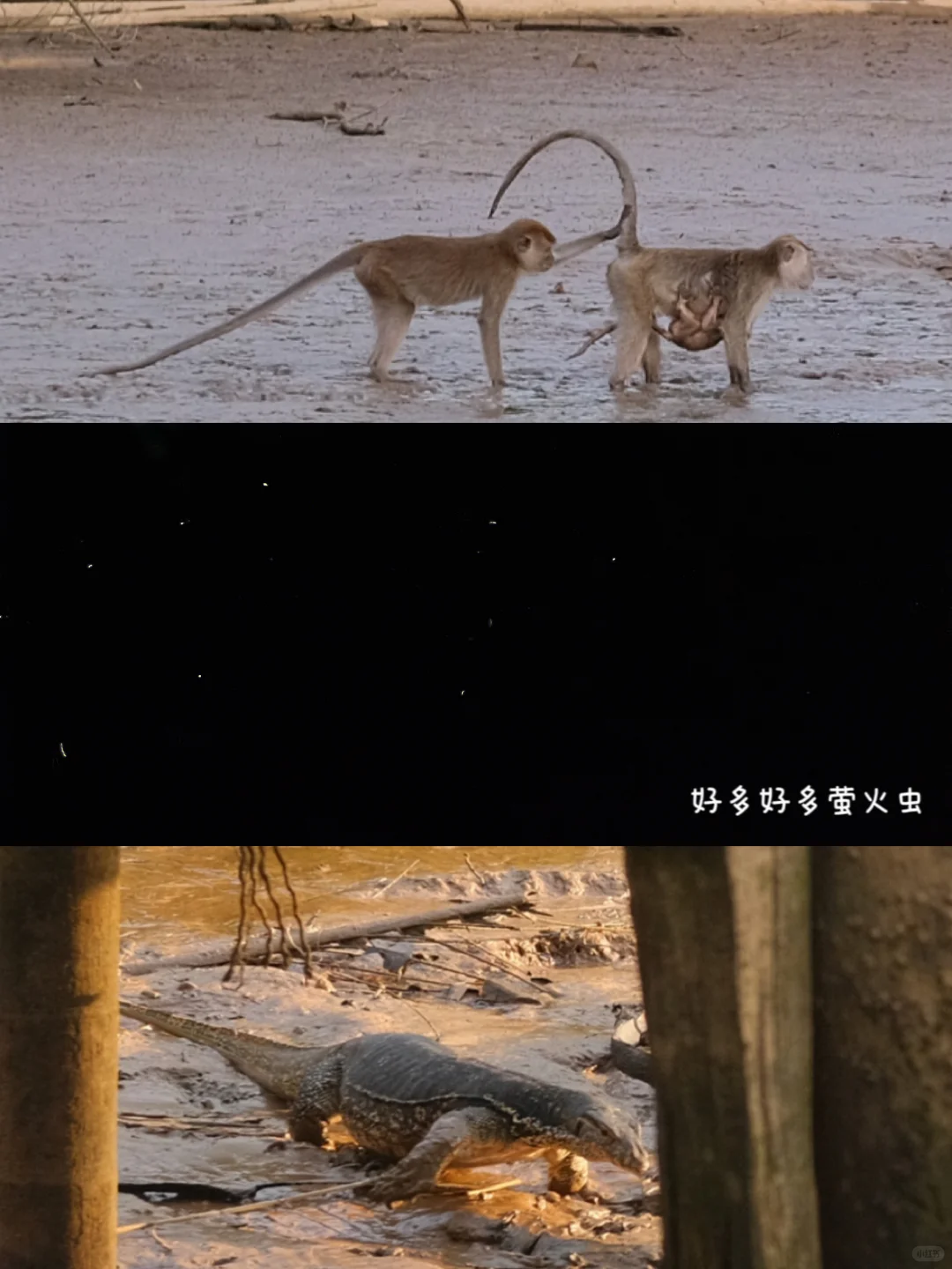 真心建议出国旅游不要过度焦虑…