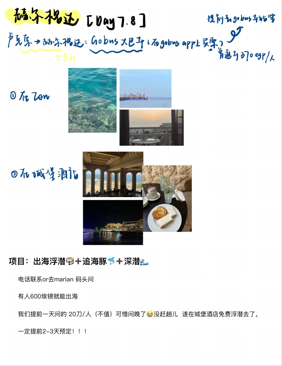 超全攻略🥰来埃及只看这一篇就够了！