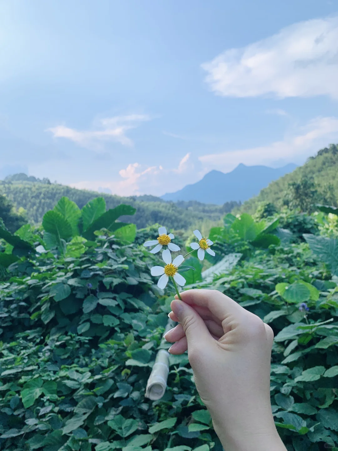 这么近那么美 周末来广州小云南