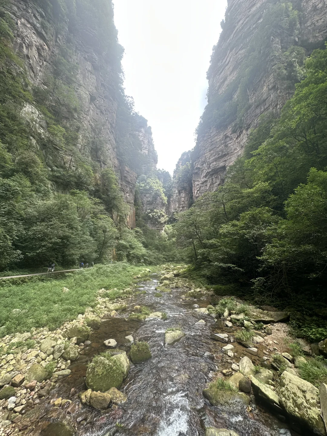 武陵源景区，最好玩的还是金鞭溪！