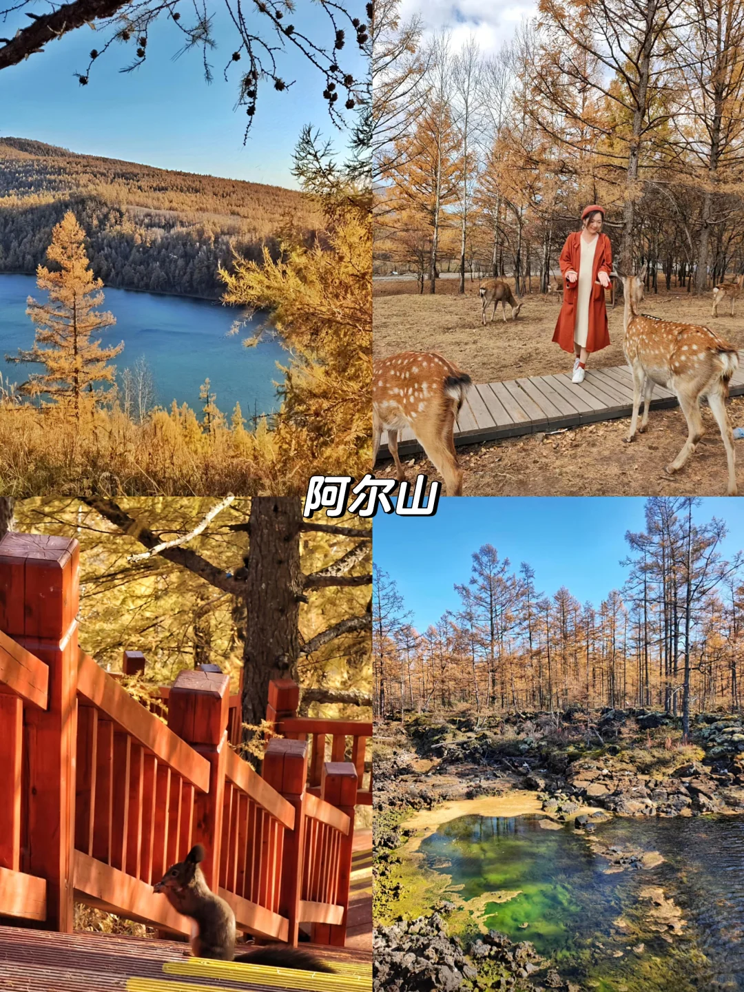 🍁推荐国内10个绝美赏秋旅行地 🍂