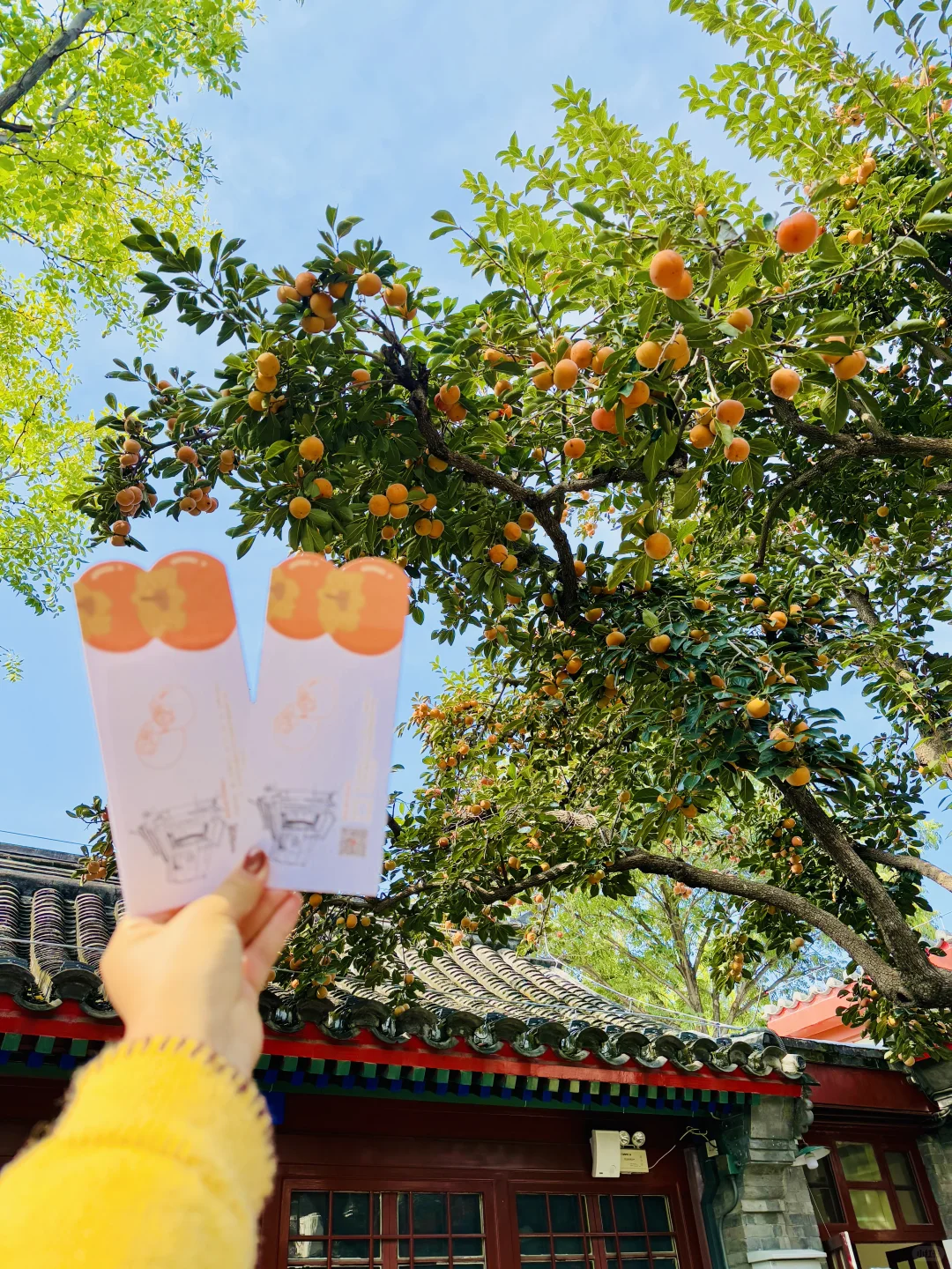 10.19实况🍂北京最新赏秋citywalk路线‼️