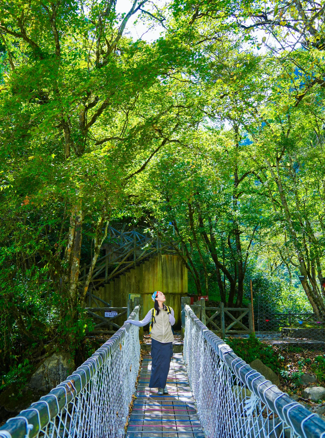 为了这18张图，我特意来了趟喇叭河！附机位