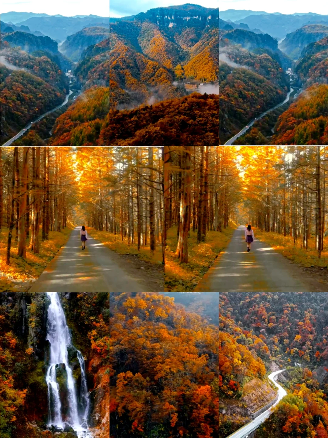 2025神农架赏秋最佳时间