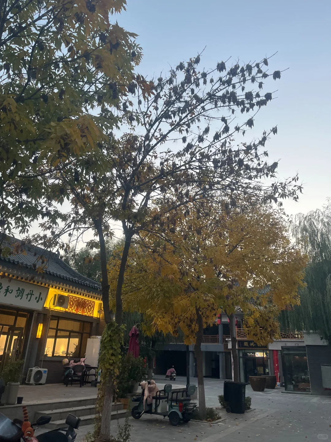 银川小众的旅游景点