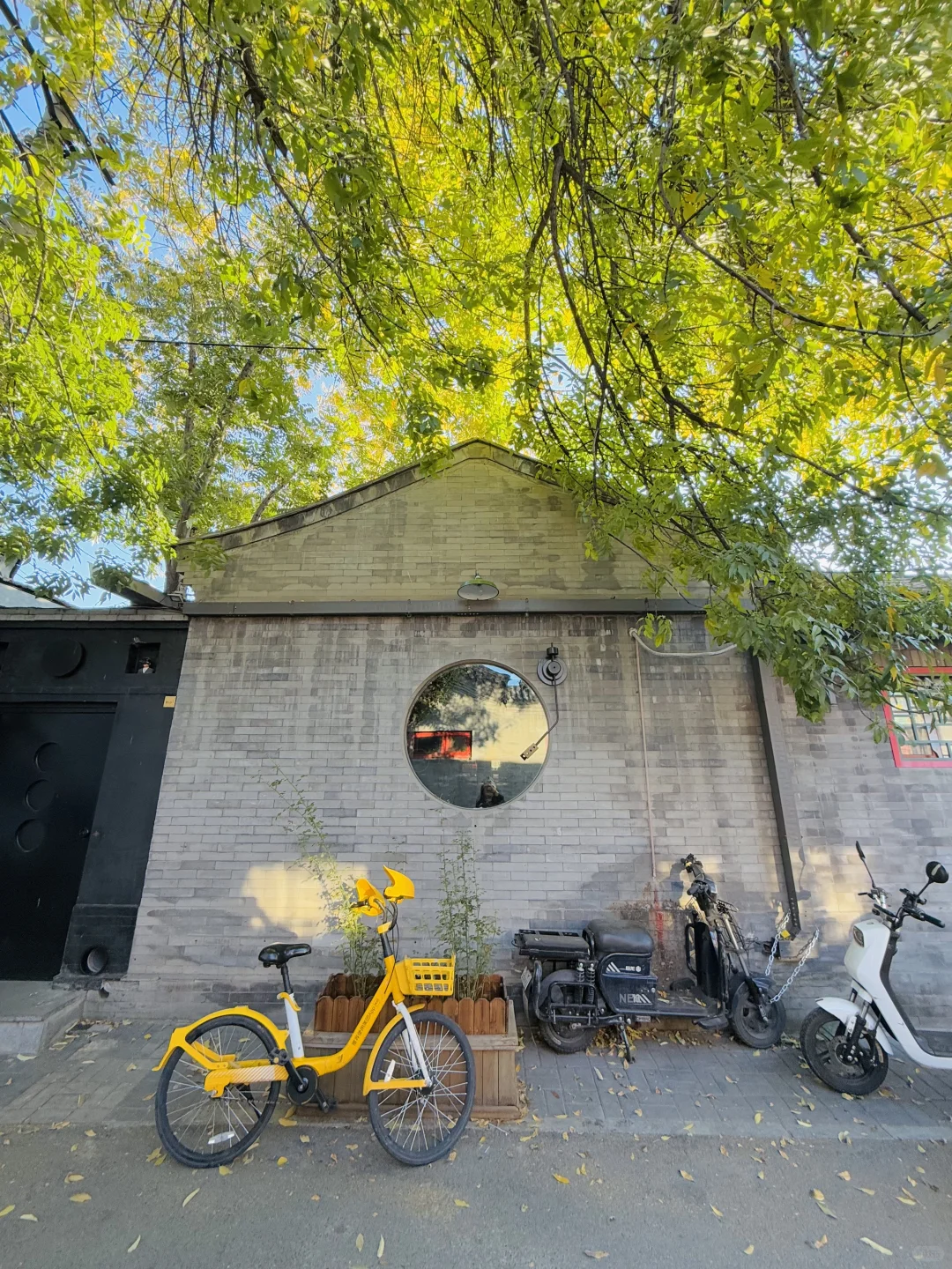 10.19实况🍂北京最新赏秋citywalk路线‼️