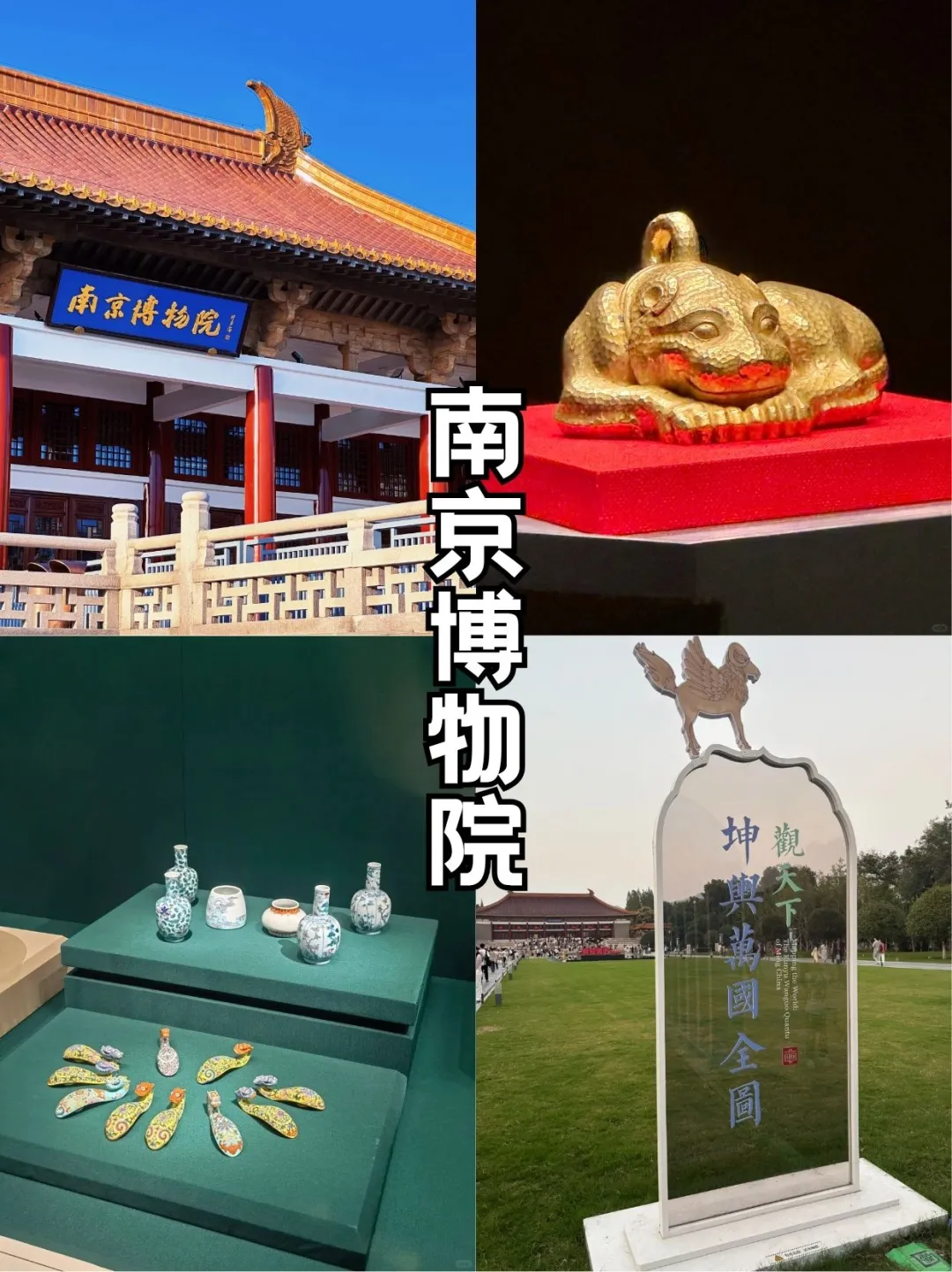 秋日金陵限定美景，错过再等一年！