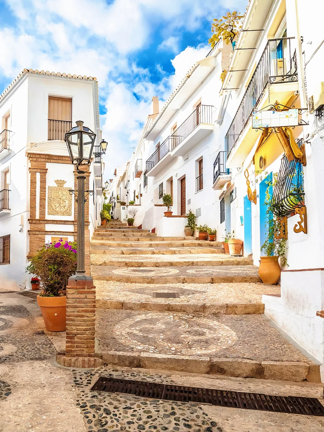 🍊这个秋冬去马拉加过橘子味的夏天！