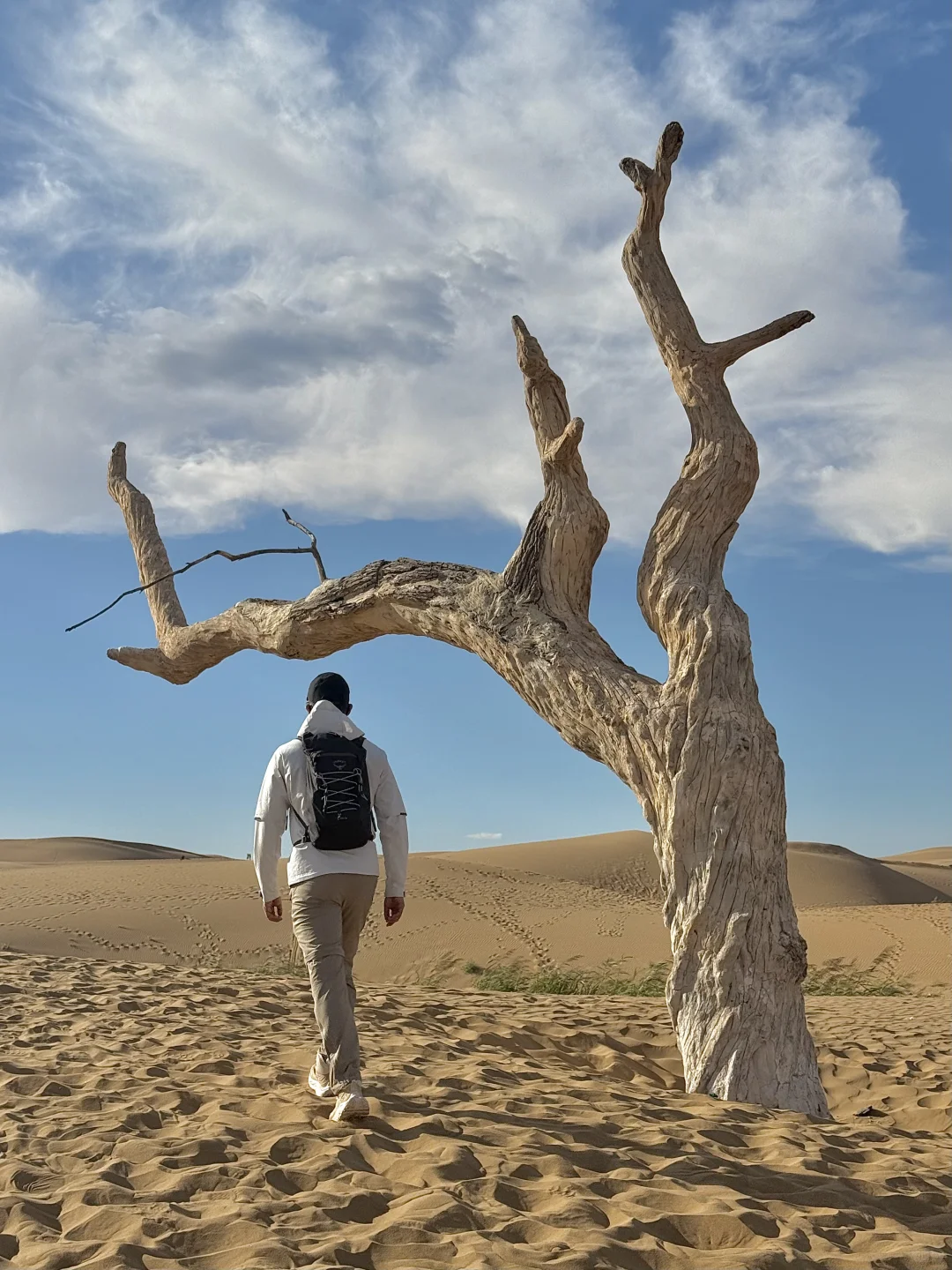 国庆去这个小众城市!乌海🏜️两日游全攻略