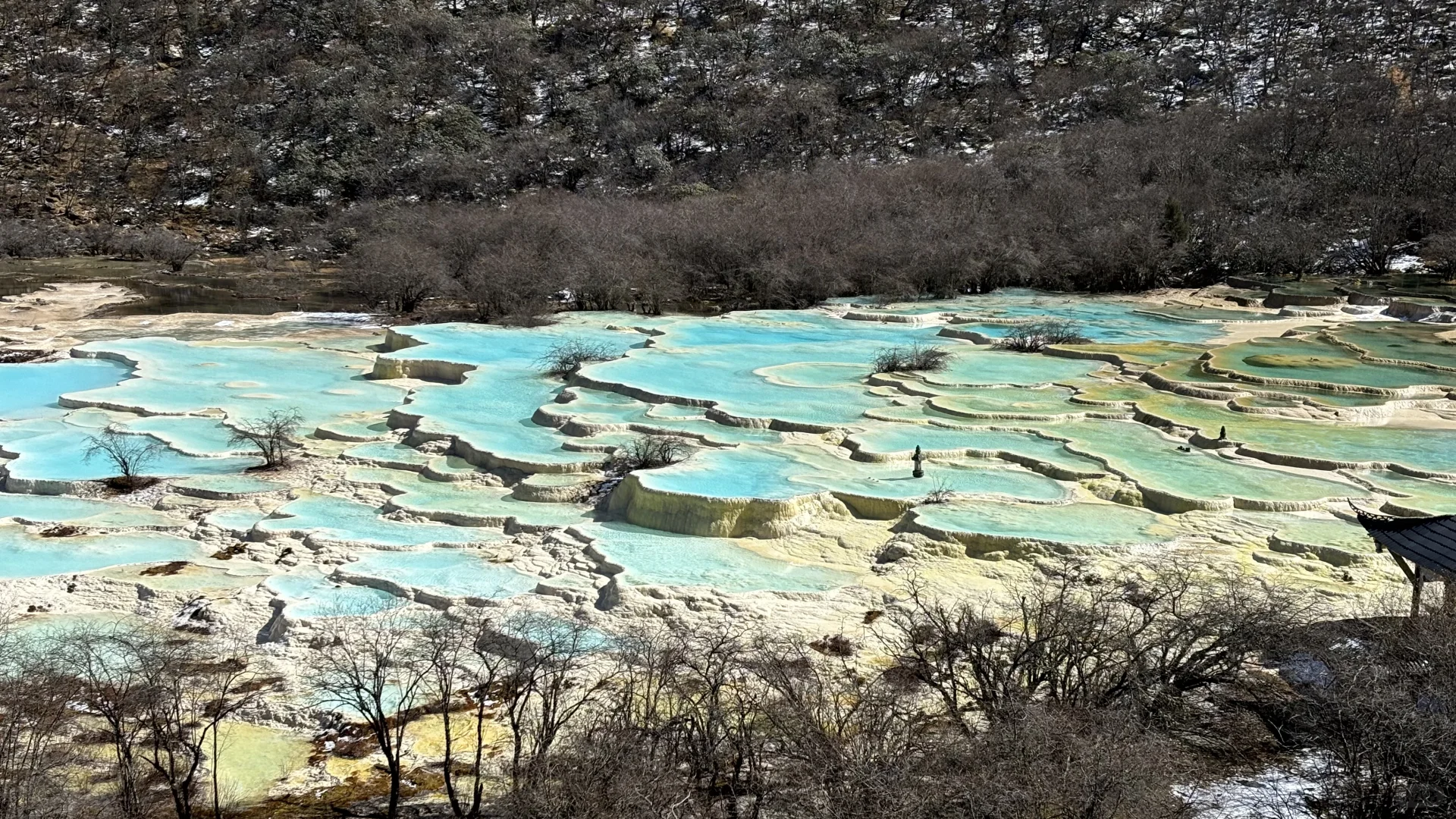 三天两夜九寨沟+黄龙旅游攻略 彩林季🍂