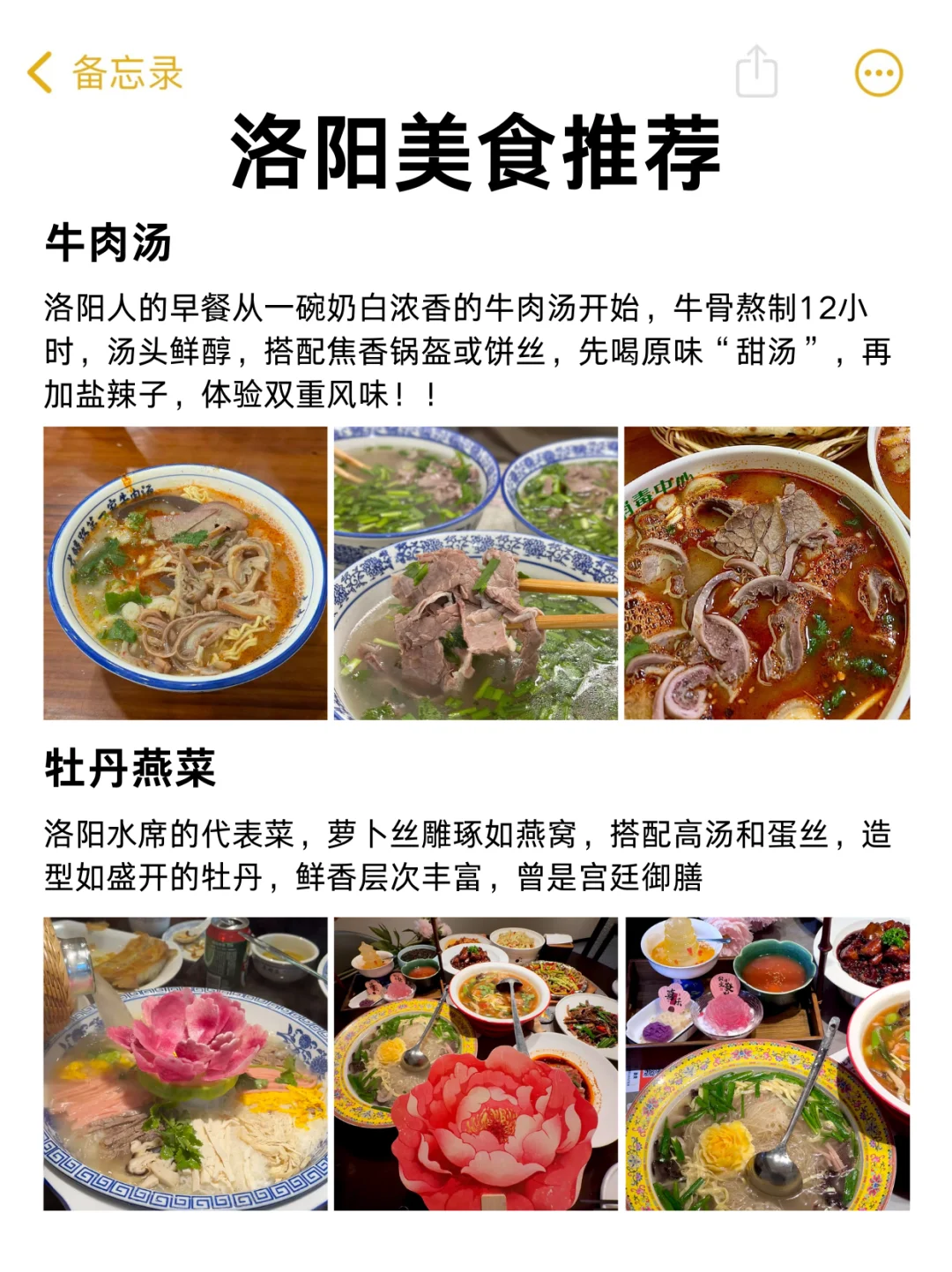 写给10-12月准备去洛阳旅游的姐妹👭超全