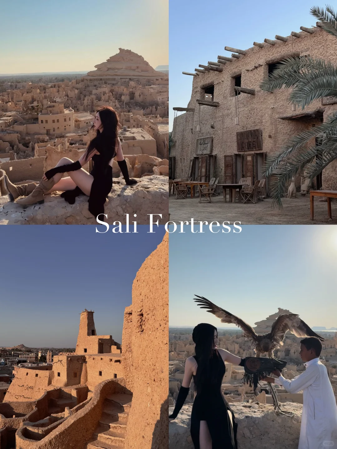 🇪🇬埃及人均7k玩疯了！金字塔+红海+沙漠🏜️