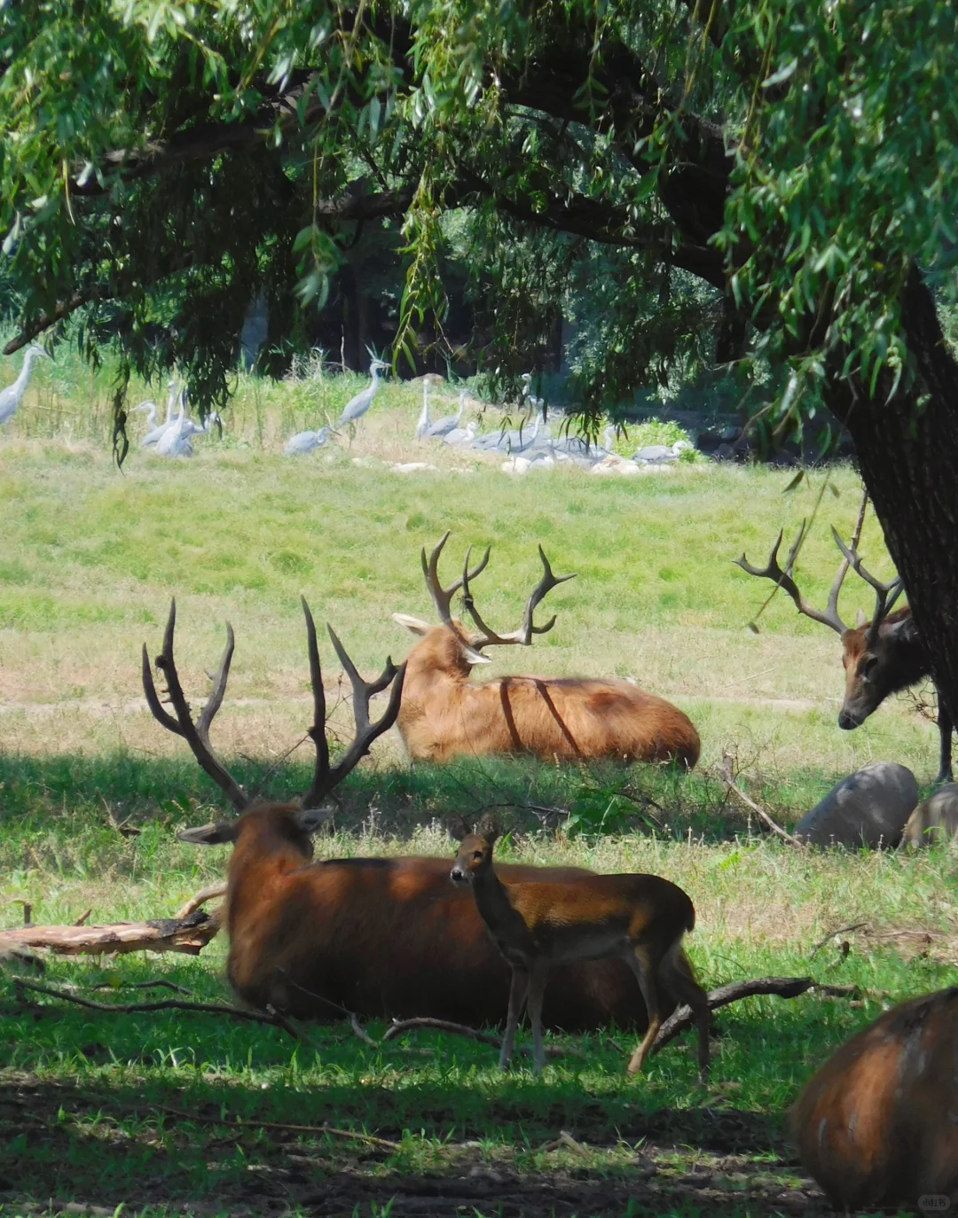北京，我最推荐的三个公园！