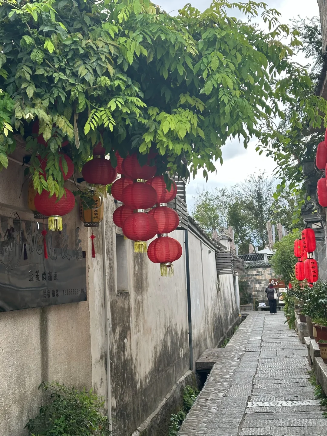 报告：宏村景区群秋意进度0.5% 20251021