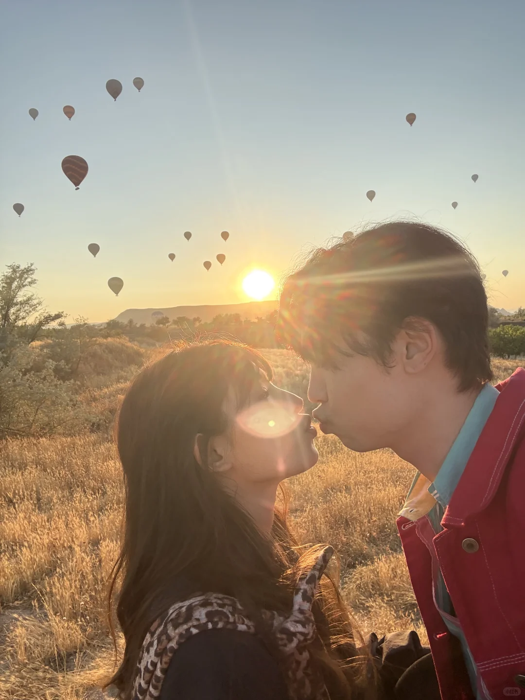 一些撒在土耳其的狗粮🐶