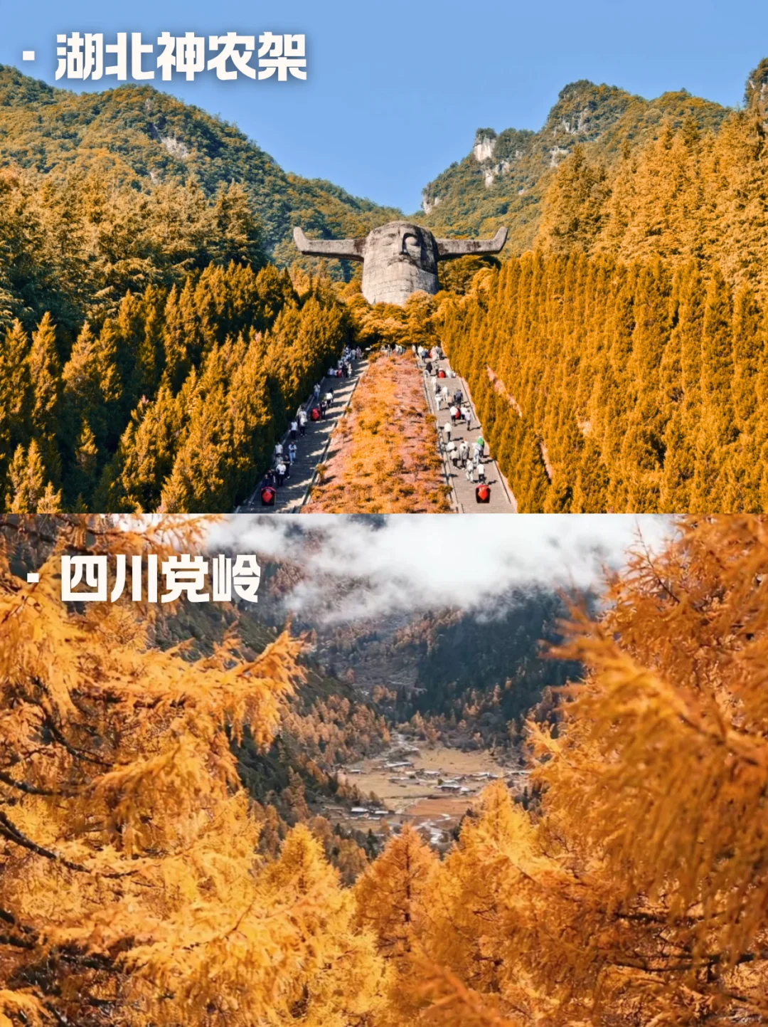 10月国内错峰赏秋😻十大红叶秘境任你选