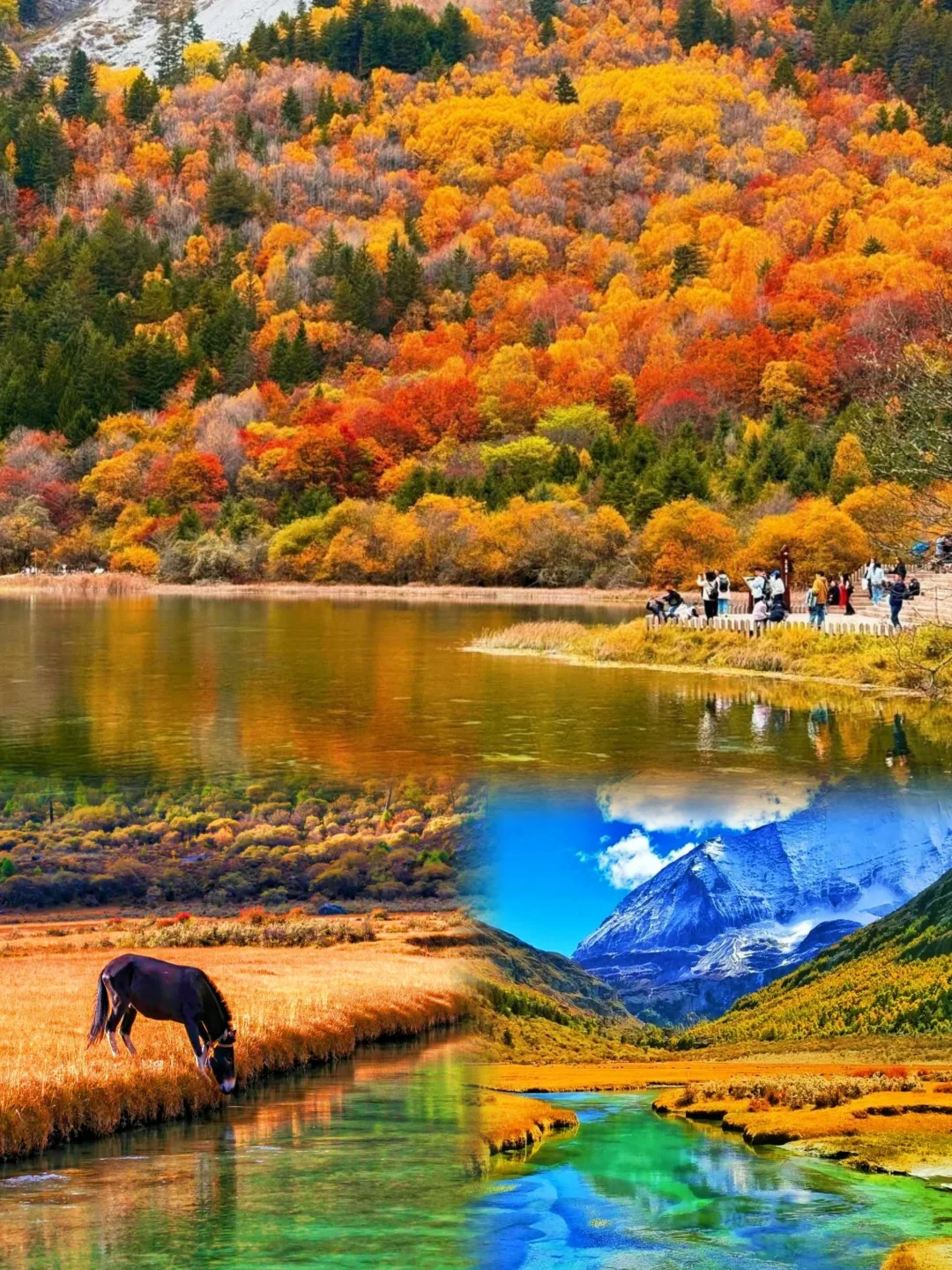 稻城亚丁｜5天4晚玩转“地球最后净土”