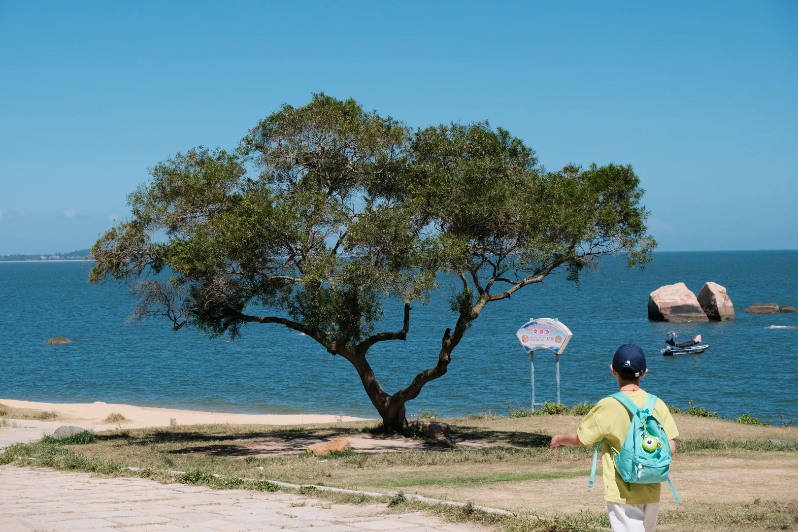 ✨厦门旅游攻略丨带你玩转文艺海滨之城✨