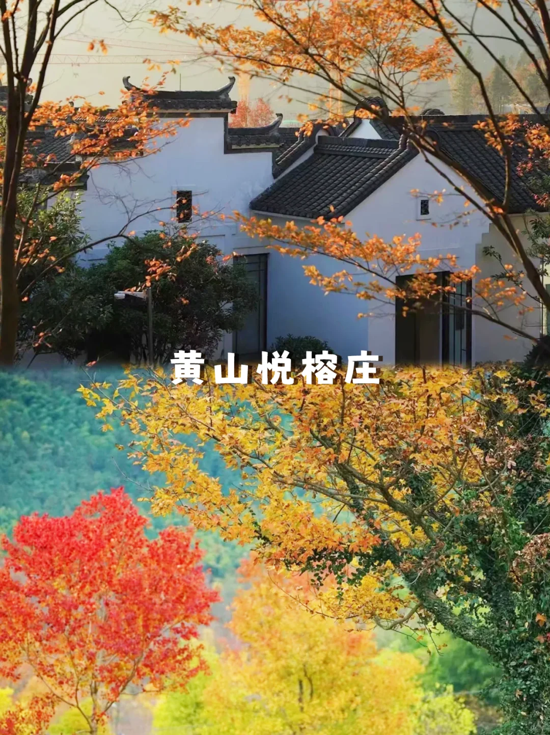 9-11月的皖南，藏着中国最美的秋天🍁