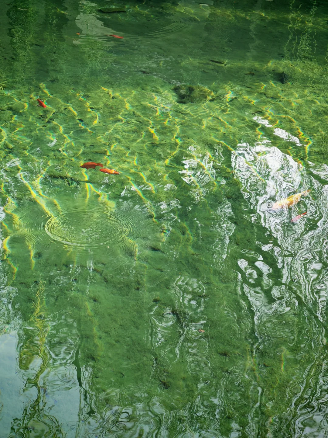 去之前不期待但后劲很大的城市｜看泉一日游