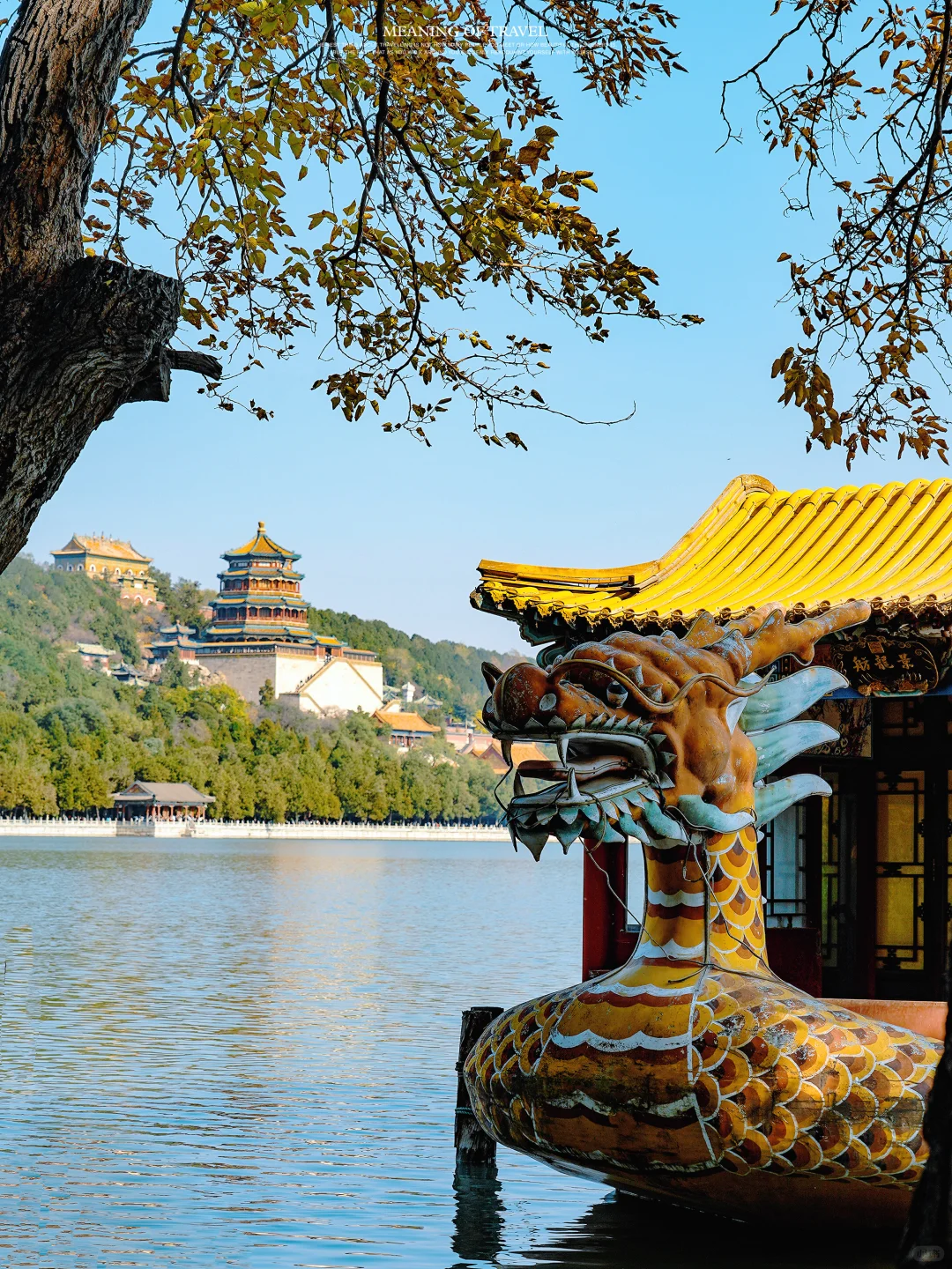 颐和园的秋天上线，北京的秋就真来啦‼️