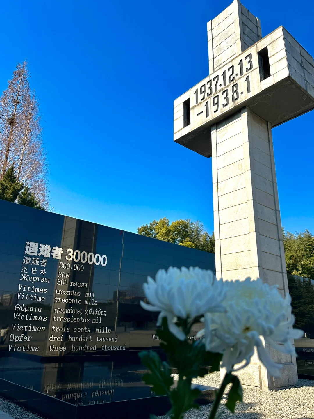 为了这1⃣️8⃣️张图，我飞了一趟南京！！！