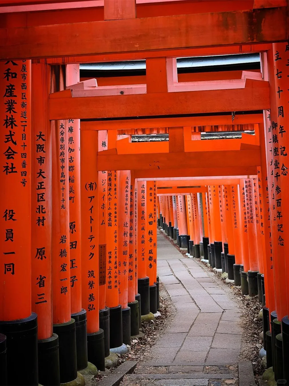 京都奈良轻松一日游攻略！🚗接送不暴走❗