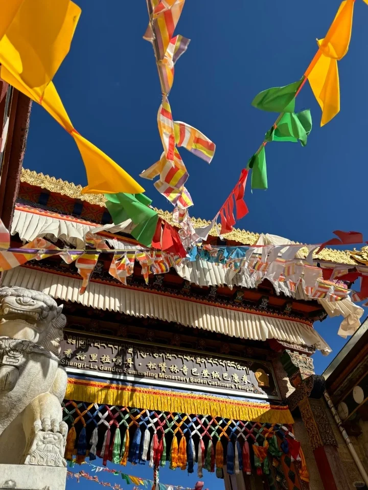 香格里拉一日游小团💰丽江往返168/人‼️