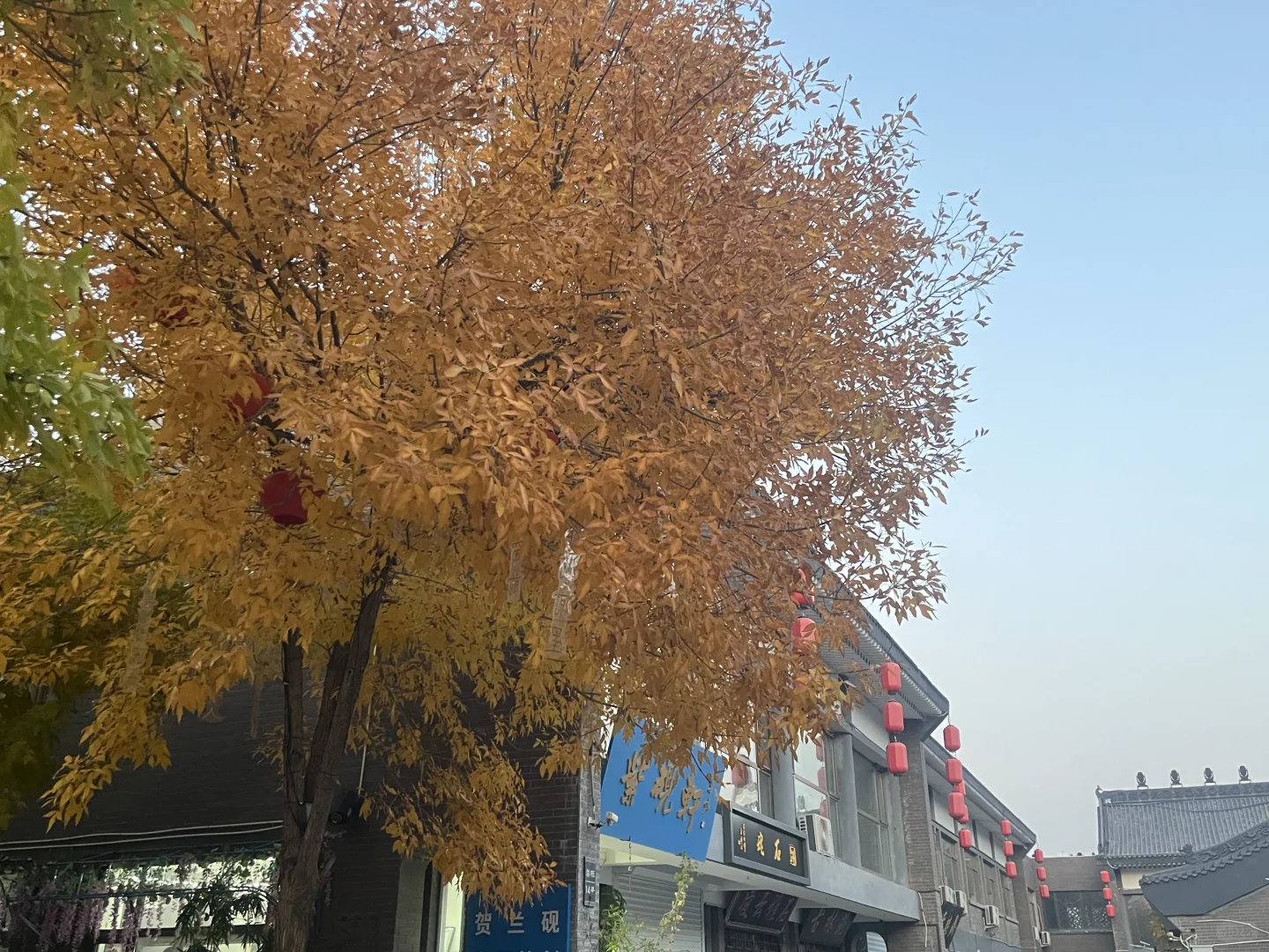 银川小众的旅游景点