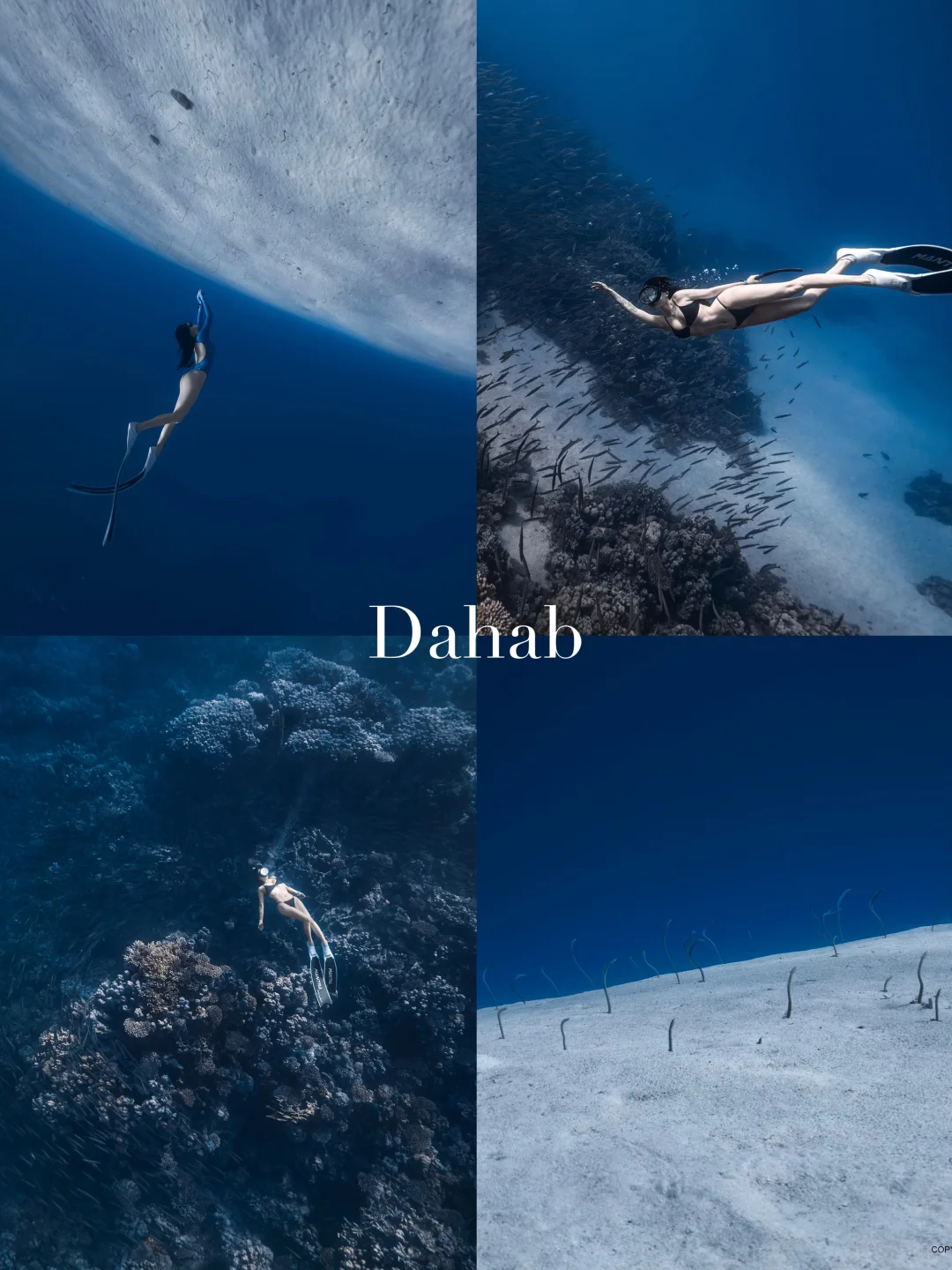 🇪🇬埃及人均7k玩疯了！金字塔+红海+沙漠🏜️