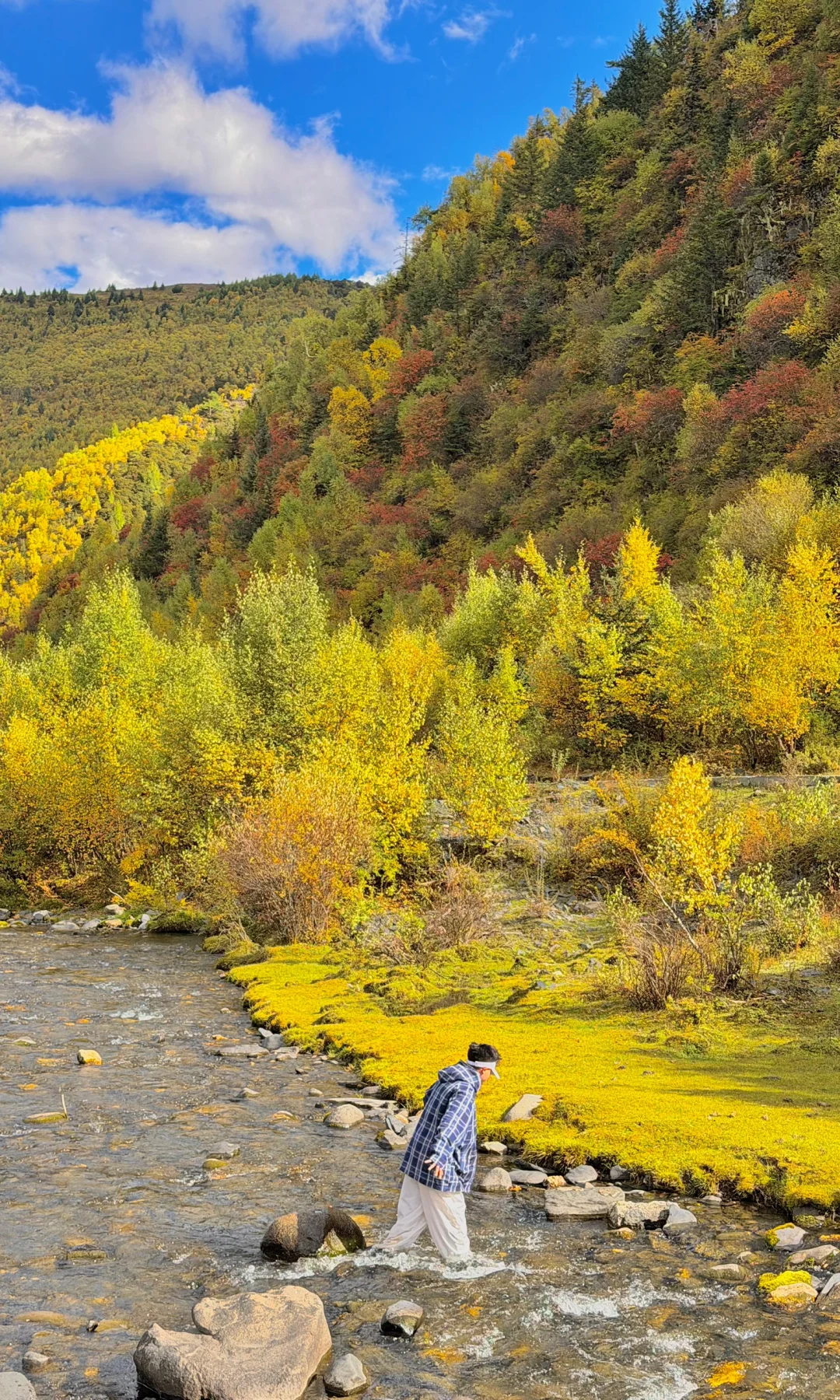 秋天川西第一天就这么美……后面该怎么办啊😭