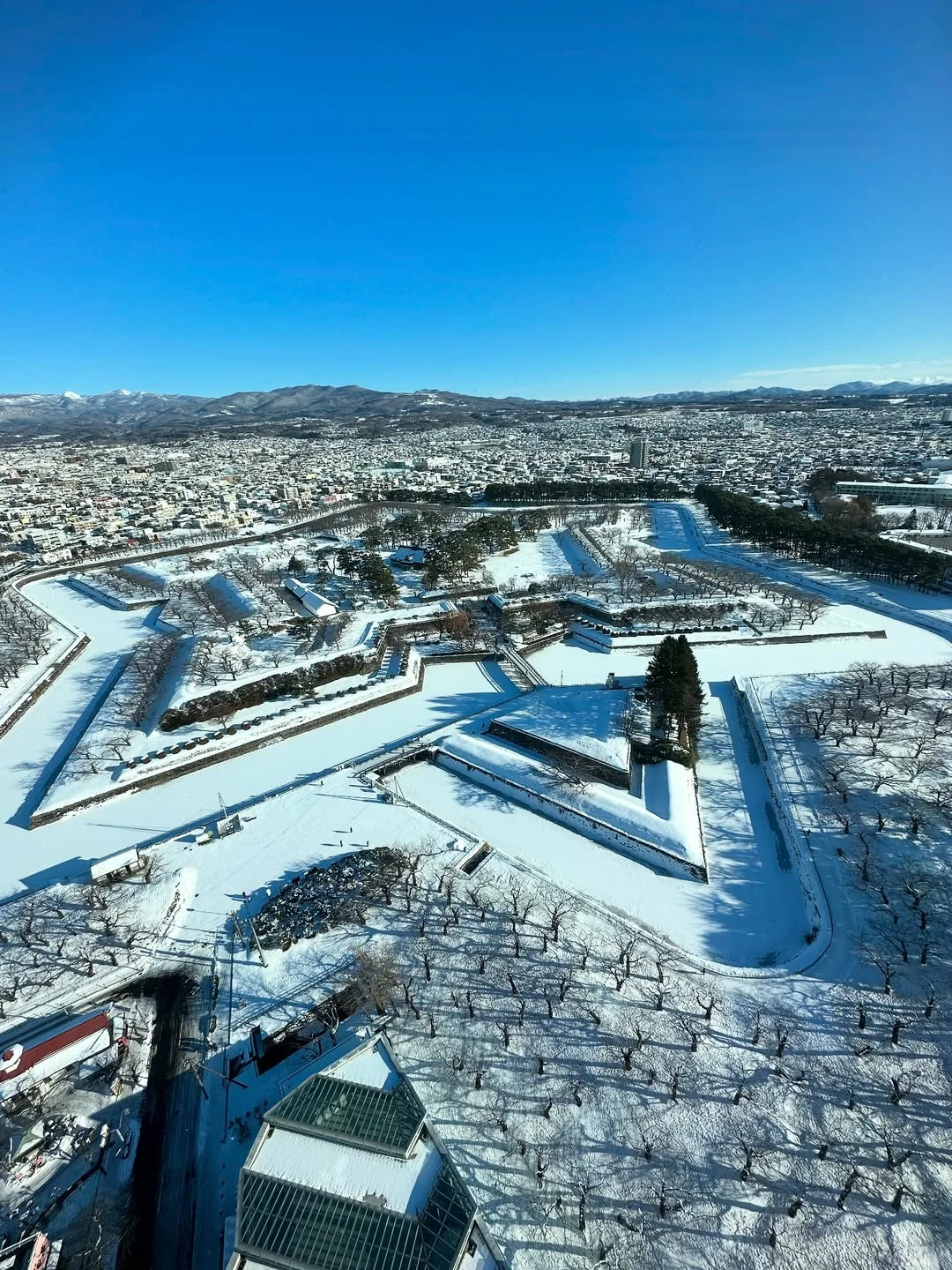 12-2月北海道❄️冬季旅游｜必打卡的9️⃣大景点