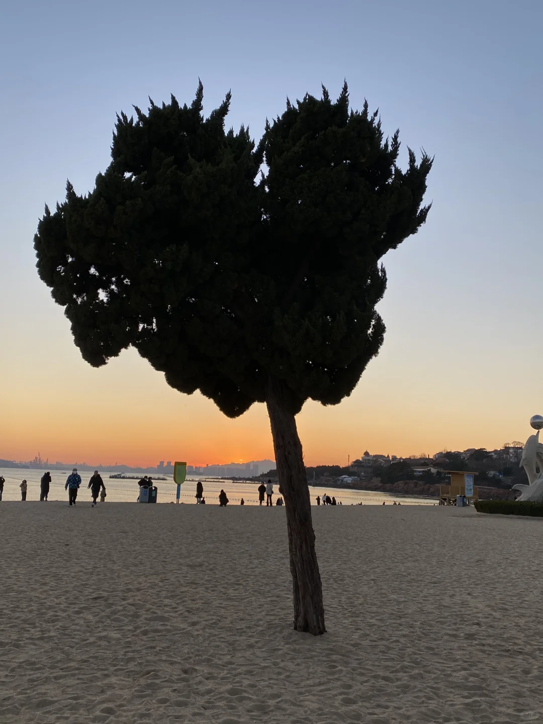 📍青岛日记｜live图实况美到窒息（附机位）！