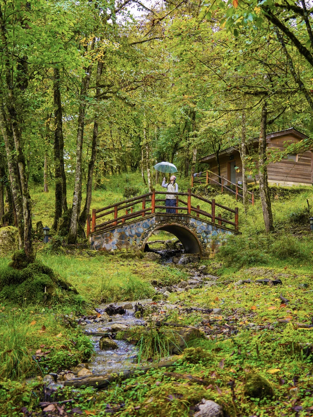 为了这18张图，我特意来了趟喇叭河！附机位