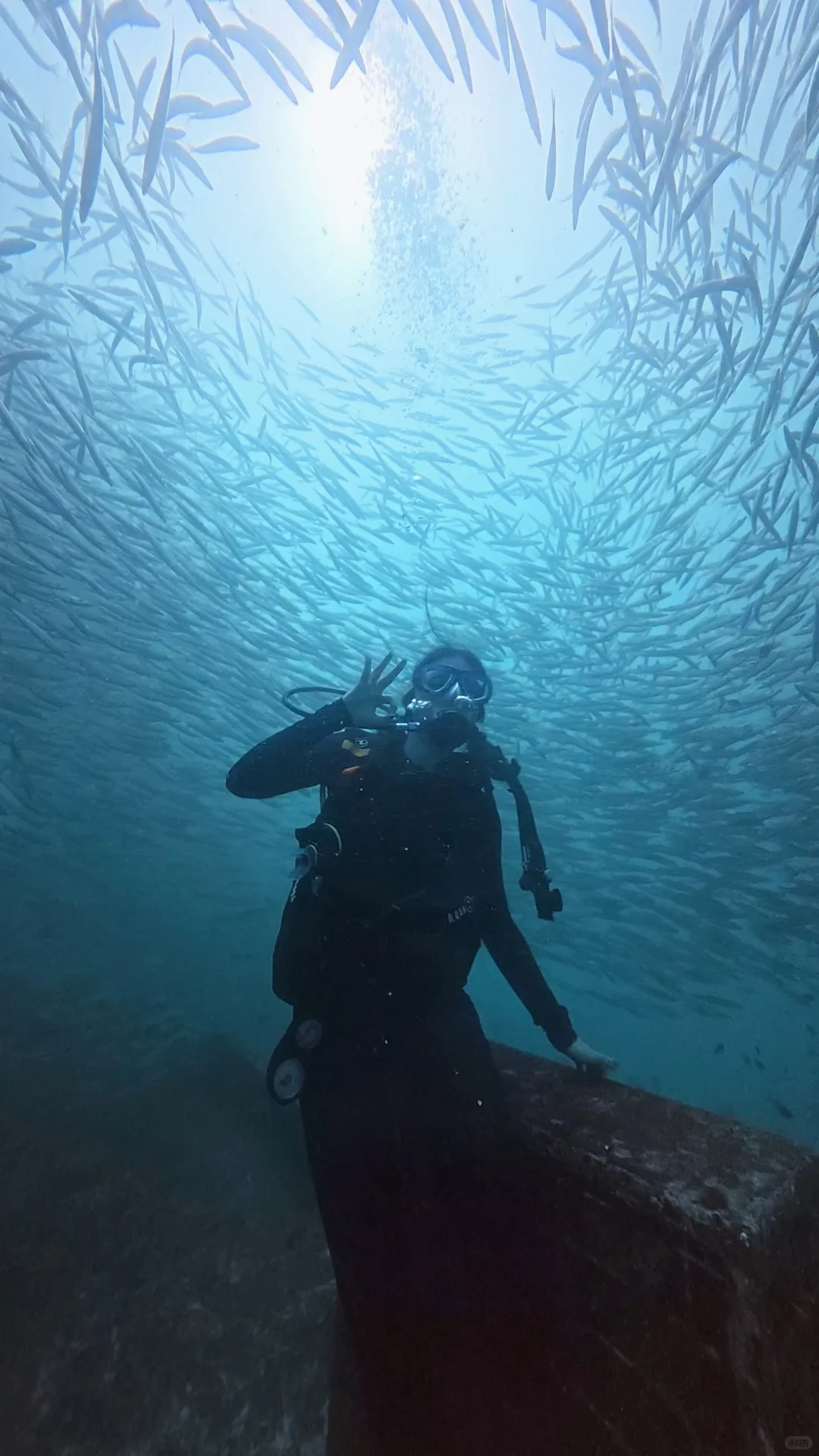 真心建议出国旅游不要过度焦虑…