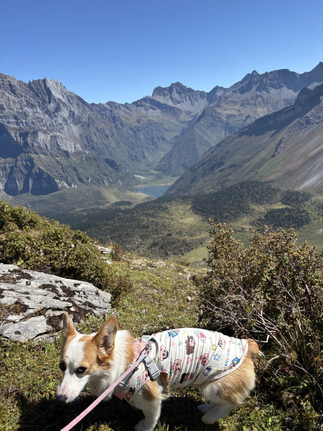 松潘又一个4A景区横空出世….